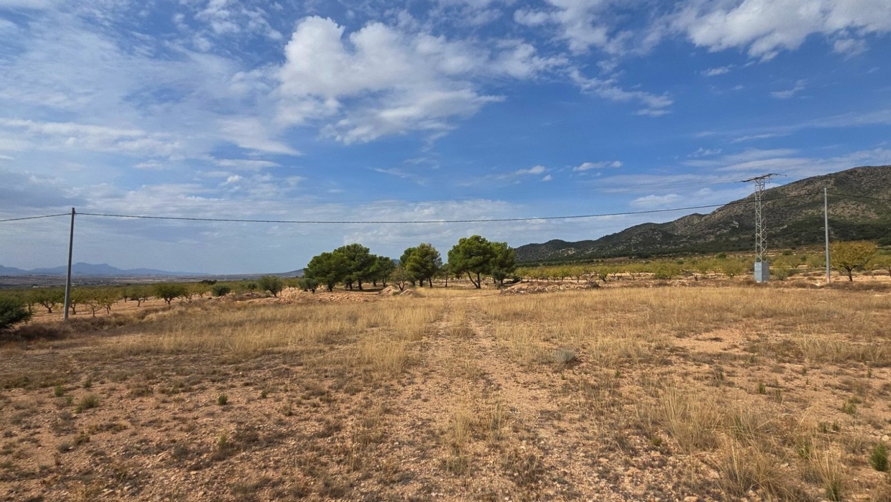 Resale - Plot / Land - Pinoso