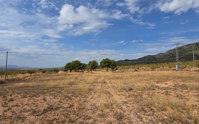 Resale - Plot / Land - Pinoso