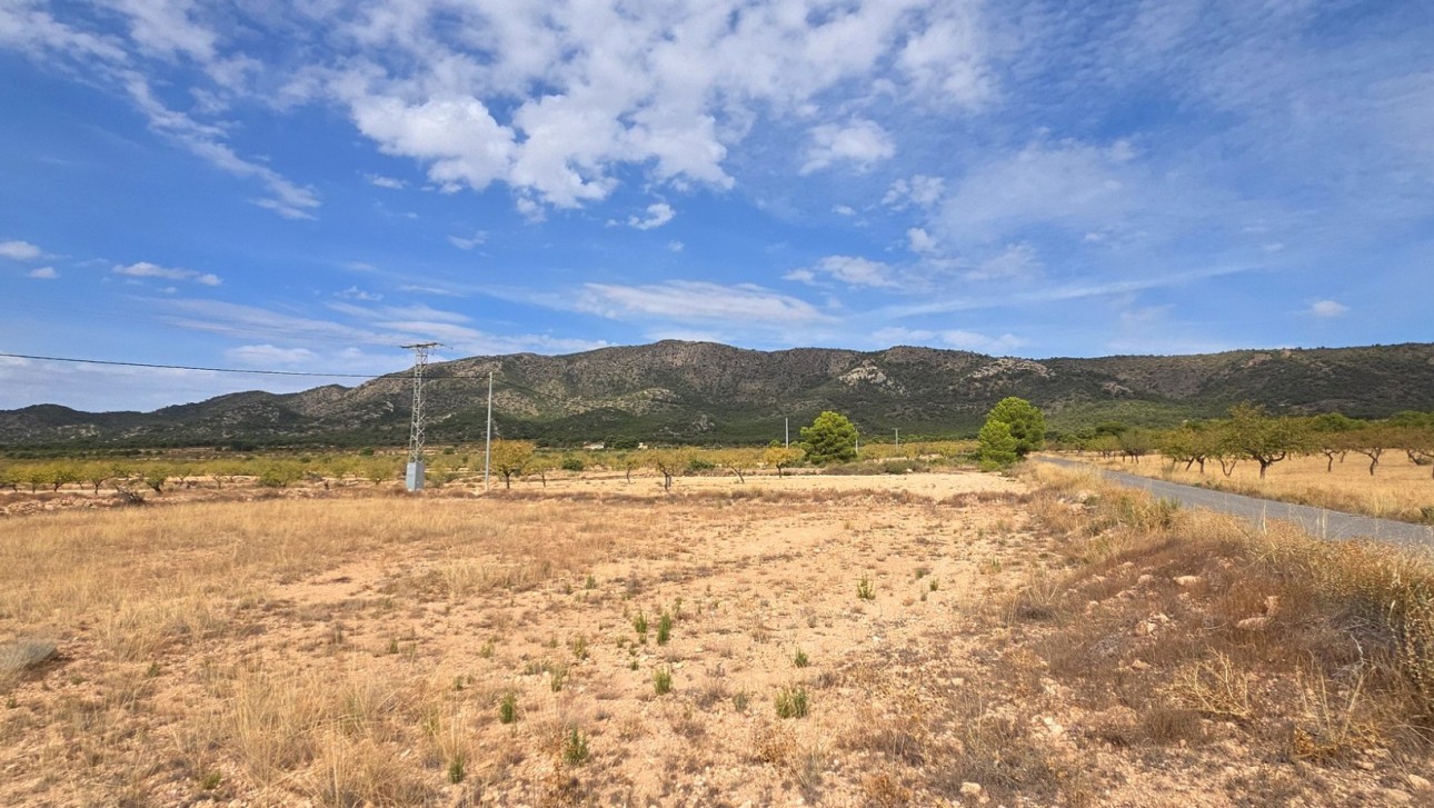 Resale - Plot / Land - Pinoso