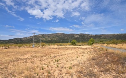 Resale - Plot / Land - Pinoso