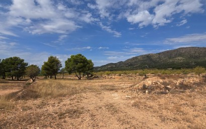 Resale - Plot / Land - Pinoso