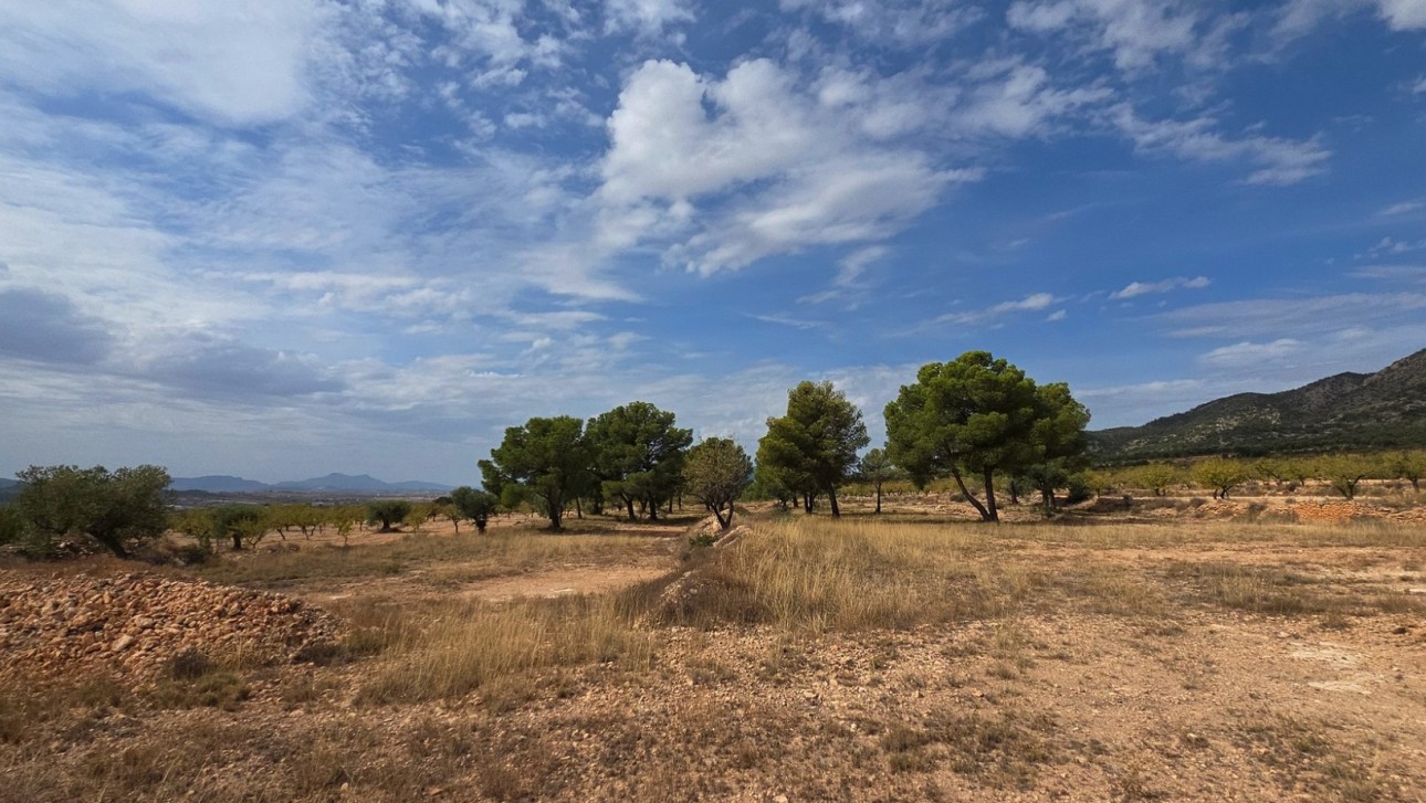 Resale - Plot / Land - Pinoso
