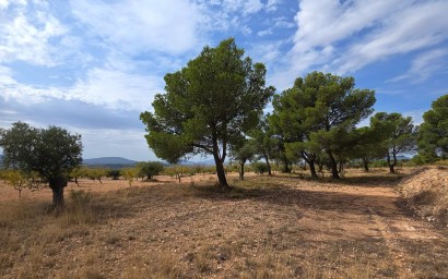 Resale - Plot / Land - Pinoso