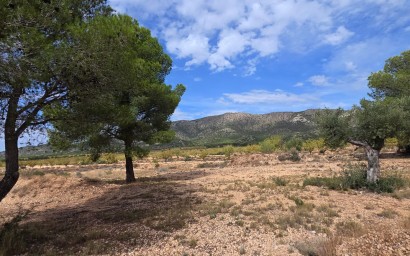 Resale - Plot / Land - Pinoso