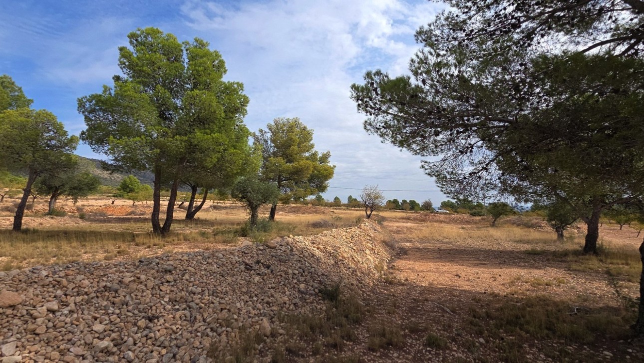 Resale - Plot / Land - Pinoso