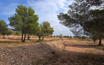 Resale - Plot / Land - Pinoso