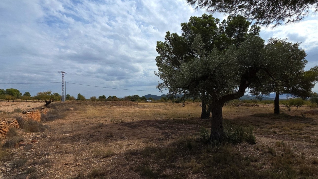 Resale - Plot / Land - Pinoso