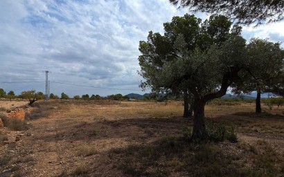 Resale - Plot / Land - Pinoso