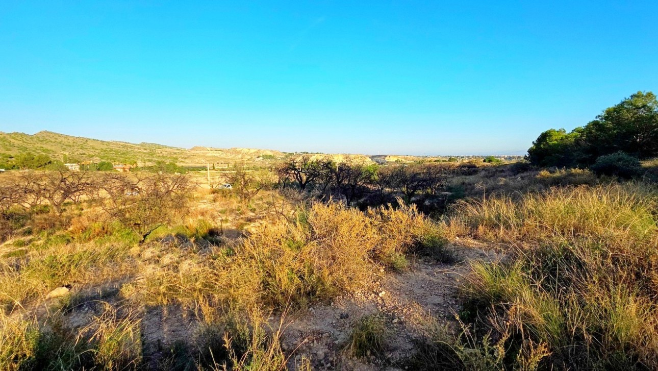 Resale - Plot / Land - Elche