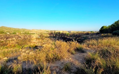 Resale - Plot / Land - Elche